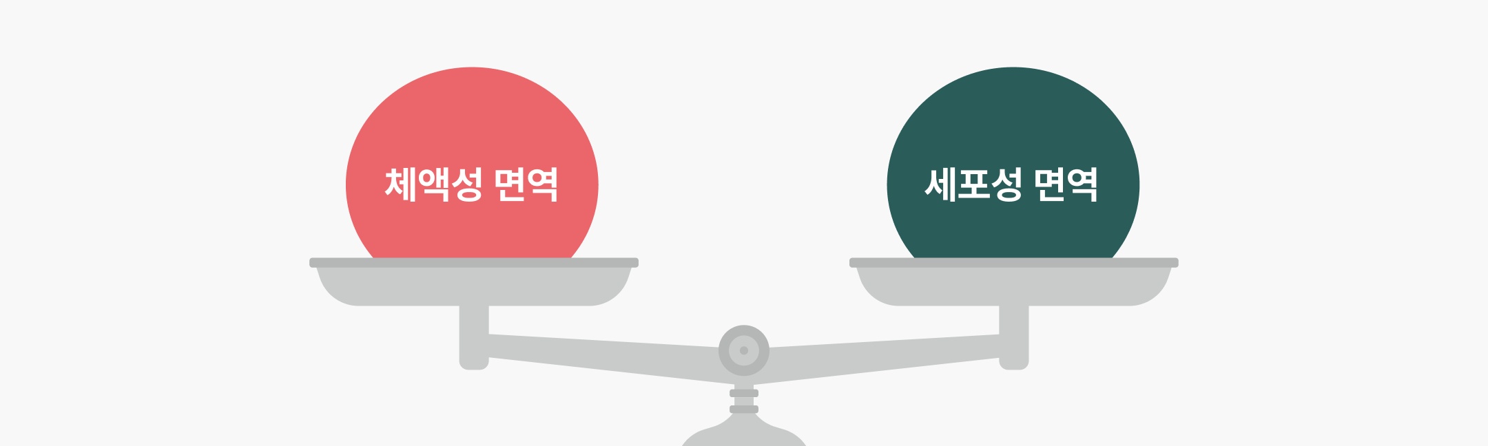 면역 균형 개선 한약